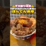 デカ盛り注意‼︎クリスロードにあるデカ肉丼【仙台グルメ】