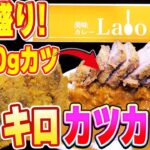 【大食い挑戦】1.7kgデカ盛りカレー！カツ600gの驚異的メニューに挑戦！【美味カレーLabo研究所】