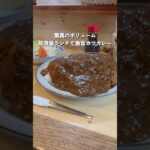 これで普通盛り！？通常の2倍サイズはあるボリューム満点のデカ盛りカツカレーが美味すぎる！#カレー #グルメ #curry#カレーライス#カツカレー#デカ盛り#大盛り#ぼっち飯