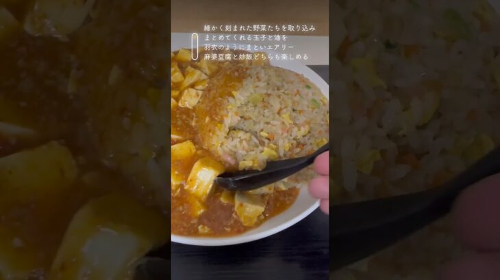 早良区のデカ盛り炒飯代表！中国北方料理 知味観- 炒飯旅行記  #food #チャーハン #friedrice #中華料理店 #飯テロ #ランチ #グルメ #炒飯