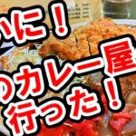 【山下町】ついにあのデカ盛りで超有名なカレー屋へ　～どん八