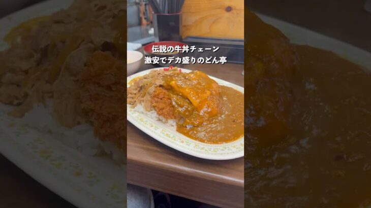 伝説の牛丼チェーンがここ！激安でデカ盛りのどん亭のカレーもヤバい！#カレー #グルメ #ぼっち飯#牛丼#デカ盛り#激安#どん亭