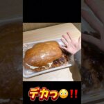 総重量1kg超え‼️新潟最強デカ盛りバーガーの驚愕の実態…😱#大食い#デカ盛り