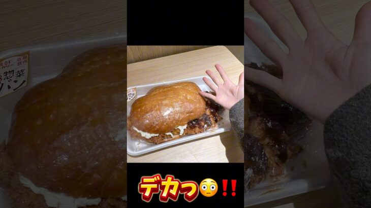 総重量1kg超え‼️新潟最強デカ盛りバーガーの驚愕の実態…😱#大食い#デカ盛り