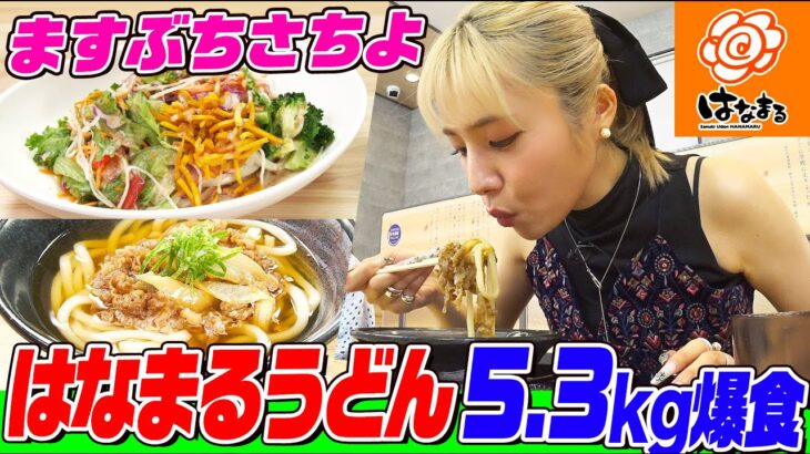 【大食い】ますぶちさちよが「はなまるうどん」で22品５kg以上爆食！「かけうどん」や「ぶっかけうどん」「サラダうどん」など人気メニュー続々登場【大胃王】【MUKBANG】【デカ盛りハンター】