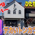 【茨城デカ盛りグルメ】超デカい！大判トンカツ定食！ひたちなか市・日の出屋