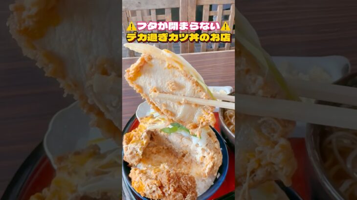 デカ過ぎ注意⚠️フタが閉まらないデカ盛りカツ丼【仙台グルメ】