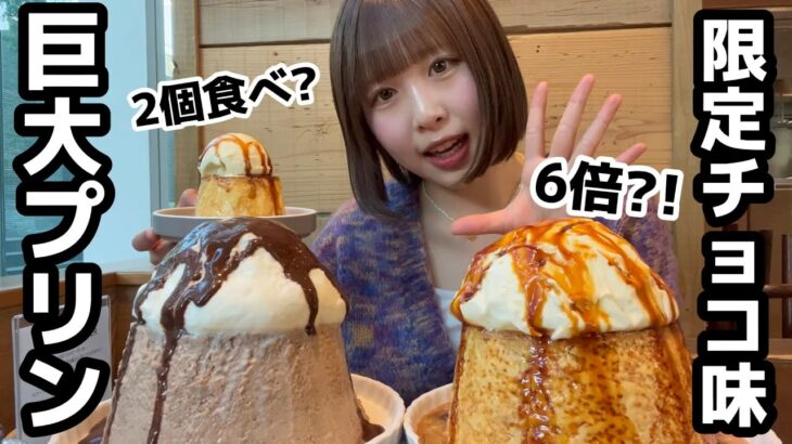 【デカ盛り】2.5kg激うまむっちり巨大プリン2個食べしてきた新作はチョコ味！