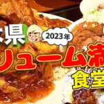 【デカ盛り🍚】ボリューム満点！栃木県の食堂まとめ(2023年)【栃木グルメ】