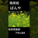 保田漁協直営ばんや。デカ盛り&新鮮で大人気だけど…