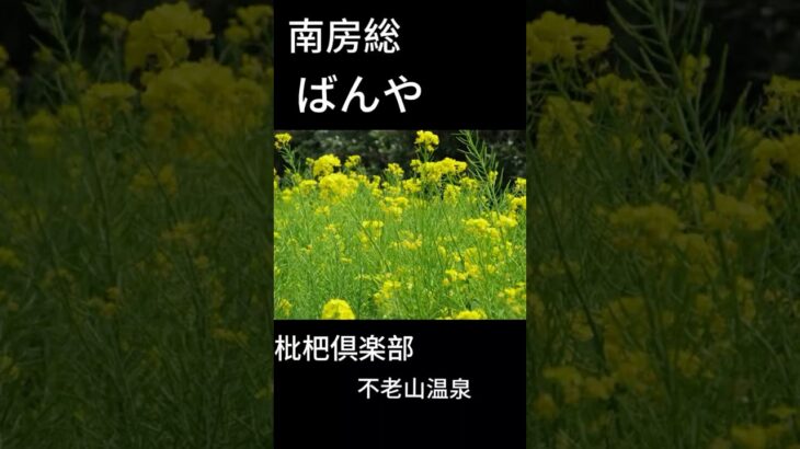 保田漁協直営ばんや。デカ盛り&新鮮で大人気だけど…